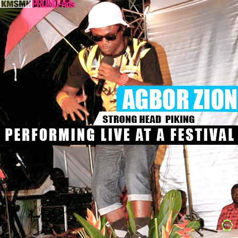 PERFORMING LIVE AT A FESTIVAL